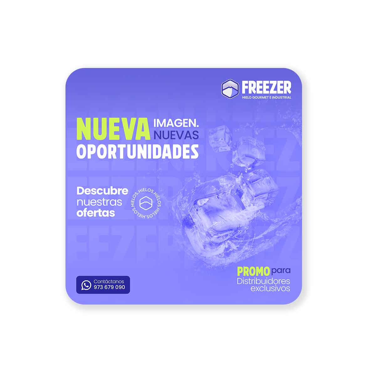 Freezer Servicios de Marketing